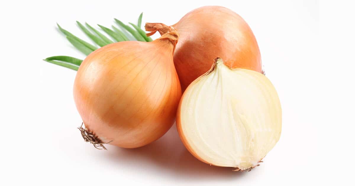Top Onion Links