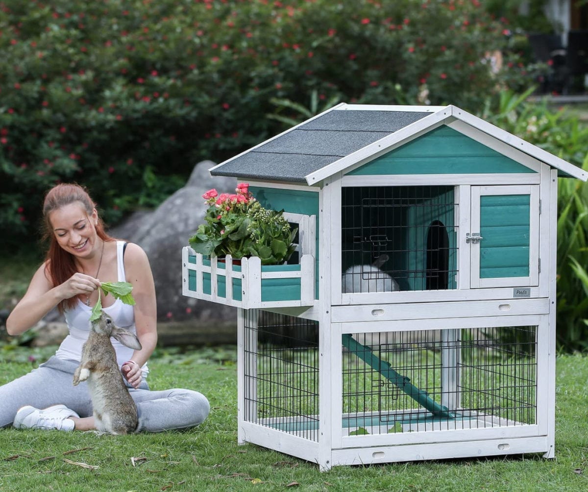 The Best Rabbit Hutch Brands To Keep Your Bunny Safe, Happy & Healthy Keep Your Pets Healthy